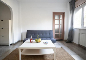 Stylish Apartment Steps from Cismigiu Park